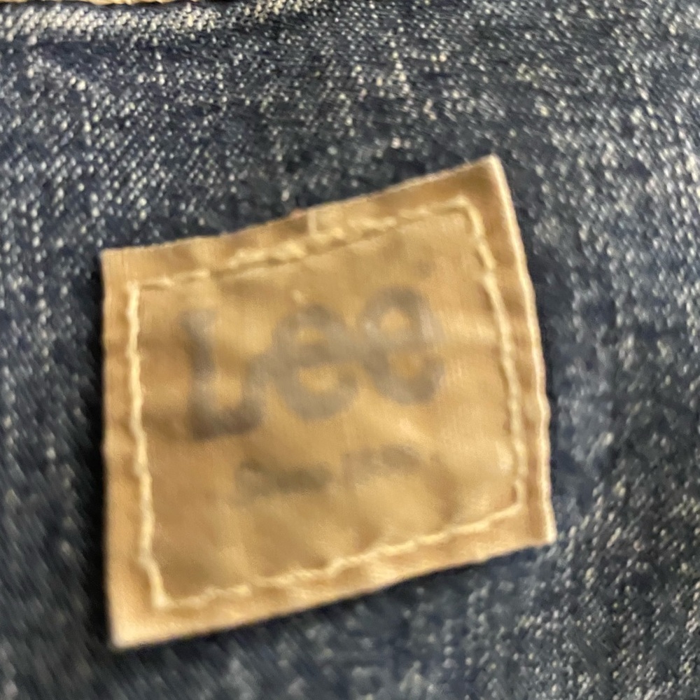 Lee Classic Carpenter Denim Jeans in Blue